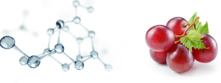 What is Resveratrol?