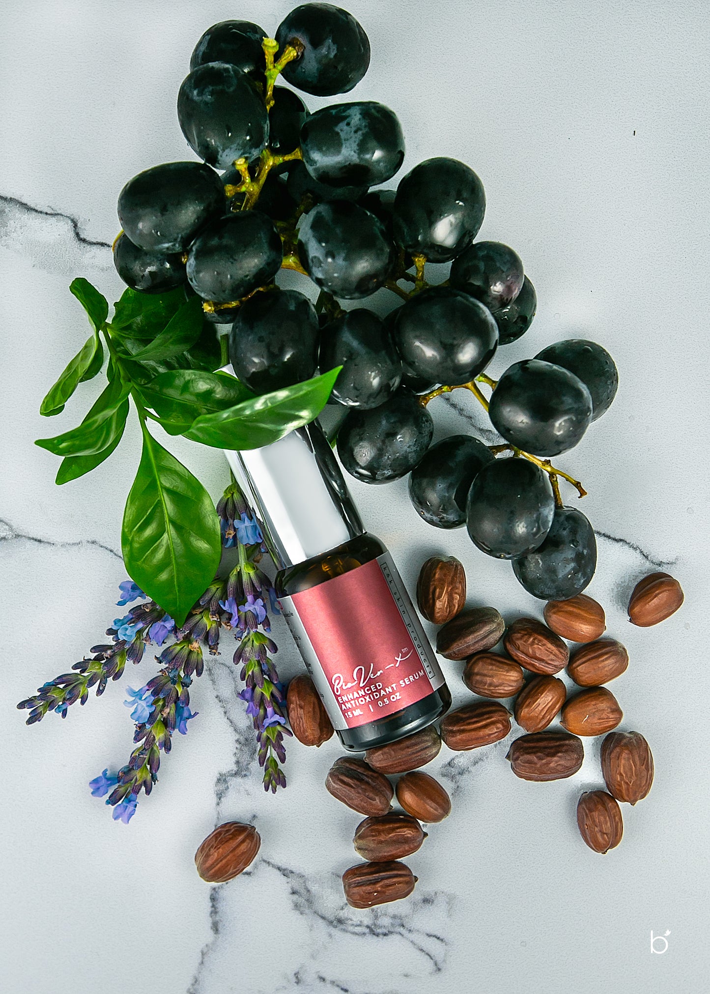 BioVer-X™️ Enhanced Antioxidant Serum